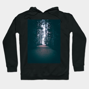 From Darkness to Light, Forest Trail V2 Hoodie